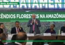 Governo federal anuncia financiamento de R＄ 730 milhões para combater desmatamento