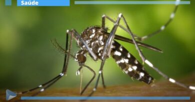 Gestão inadequada de resíduos sólidos pode contribuir para aumento da Dengue