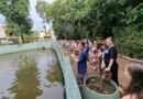 Parque Ecológico Americana promove o curso “Feras de Férias no Zoo”
