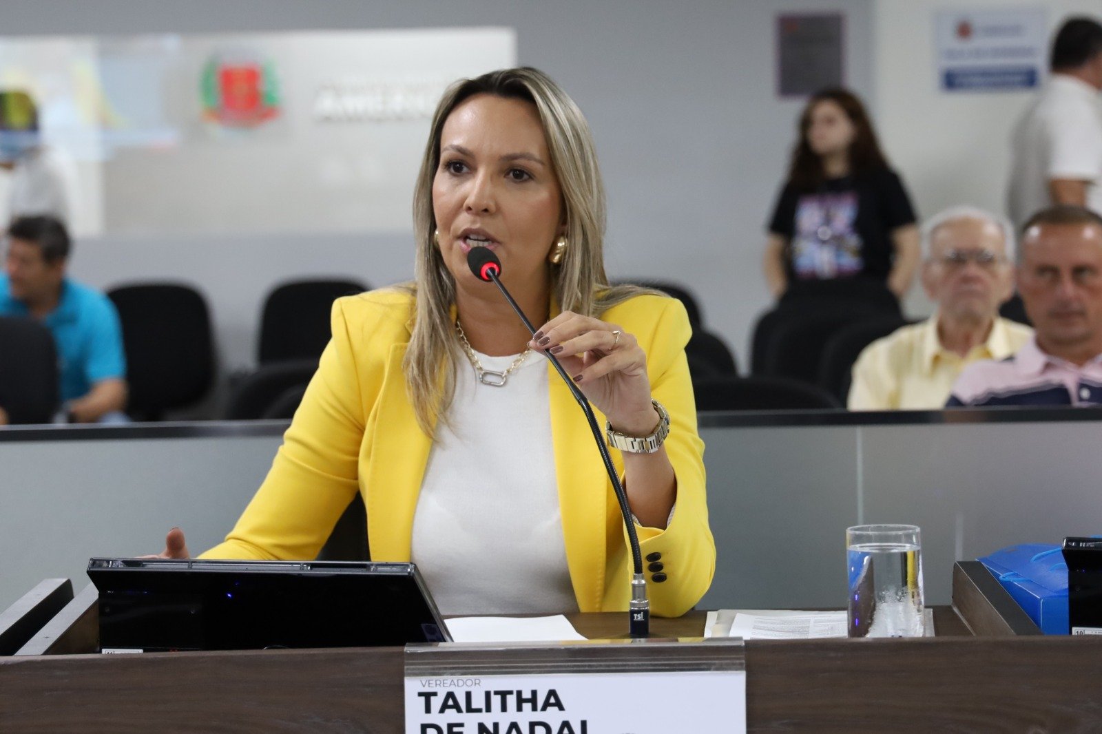 Talitha De Nadai pede informações sobre acolhimento de mulheres vítimas de violência em Americana