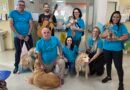 Terapia com cães e música trazem conforto a pacientes oncológicos da Unacon Americana