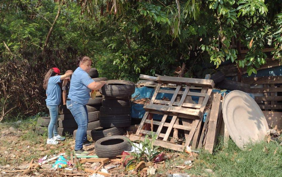 Sumaré alerta para aumento de casos de dengue com início do período de chuvas.