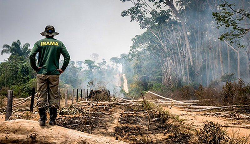 Sociedade civil vê retrocesso grave em queda de vetos de PL Ambiental