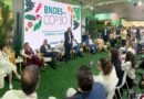 Brasil anuncia R$ 107 milhões para bioeconomia amazônica por meio do programa Coopera+ Amazônia