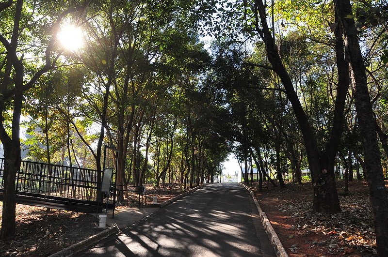 Campanha de prevenção à dengue tem início no Jardim Botânico Americana