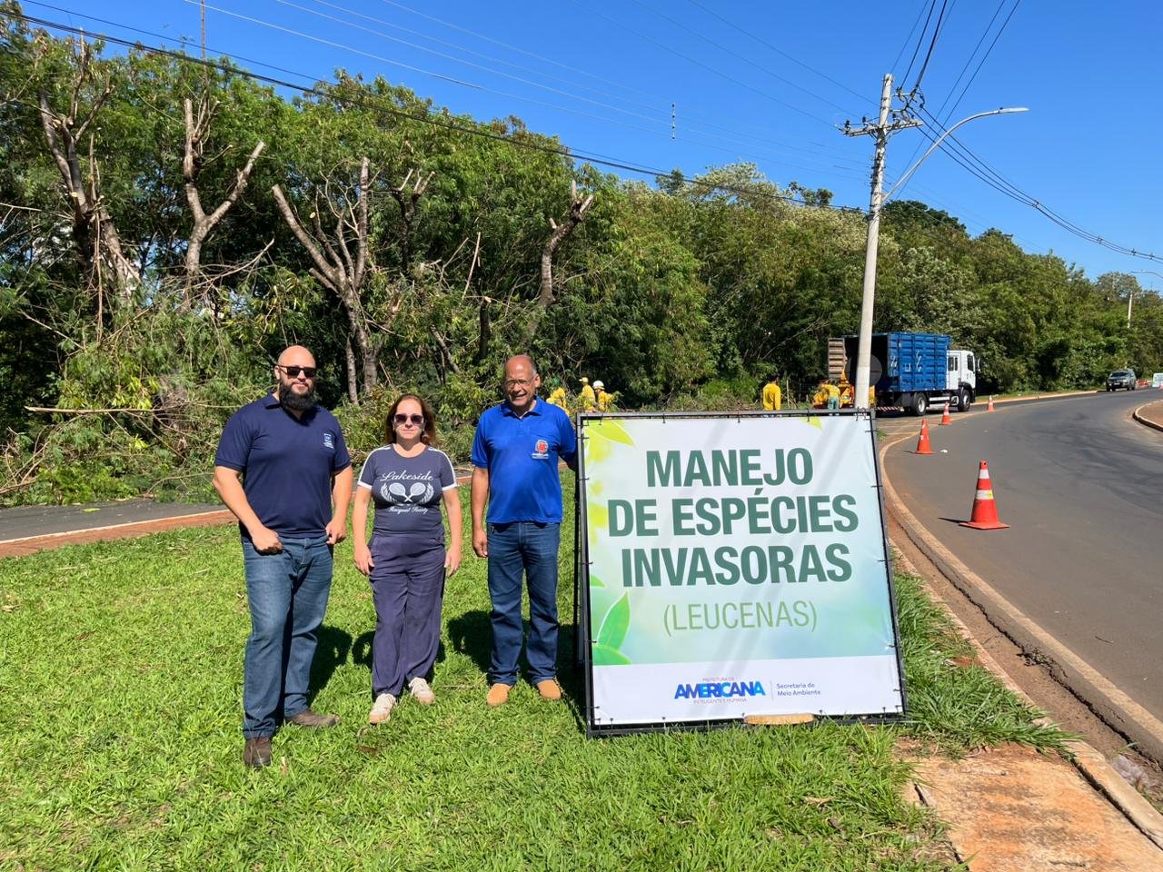 Americana conclui primeira etapa de manejo e controle de leucenas na Avenida Bandeirantes