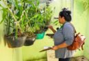 Santa Bárbara orienta população sobre as diferenças entre os sintomas de dengue e chikungunya