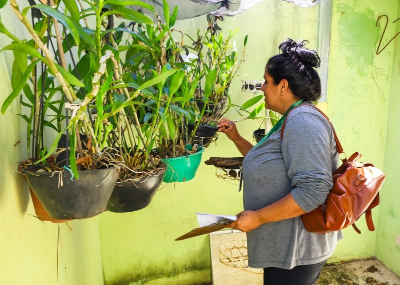 Santa Bárbara orienta população sobre as diferenças entre os sintomas de dengue e chikungunya