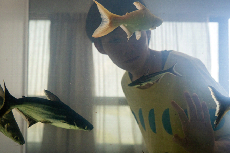 MAC Americana exibe o filme “Dormir de Olhos Abertos”