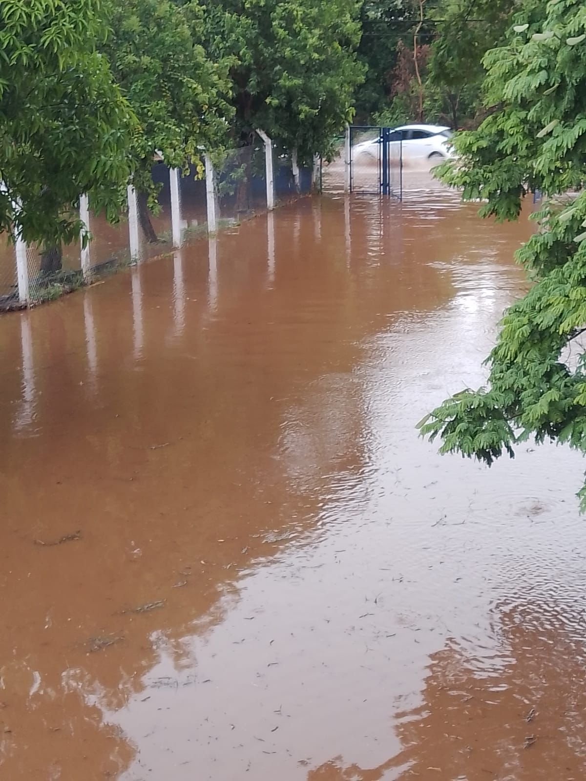 Americana registra 62 milímetros de chuvas em 1h20 minutos: alagamentos e danos