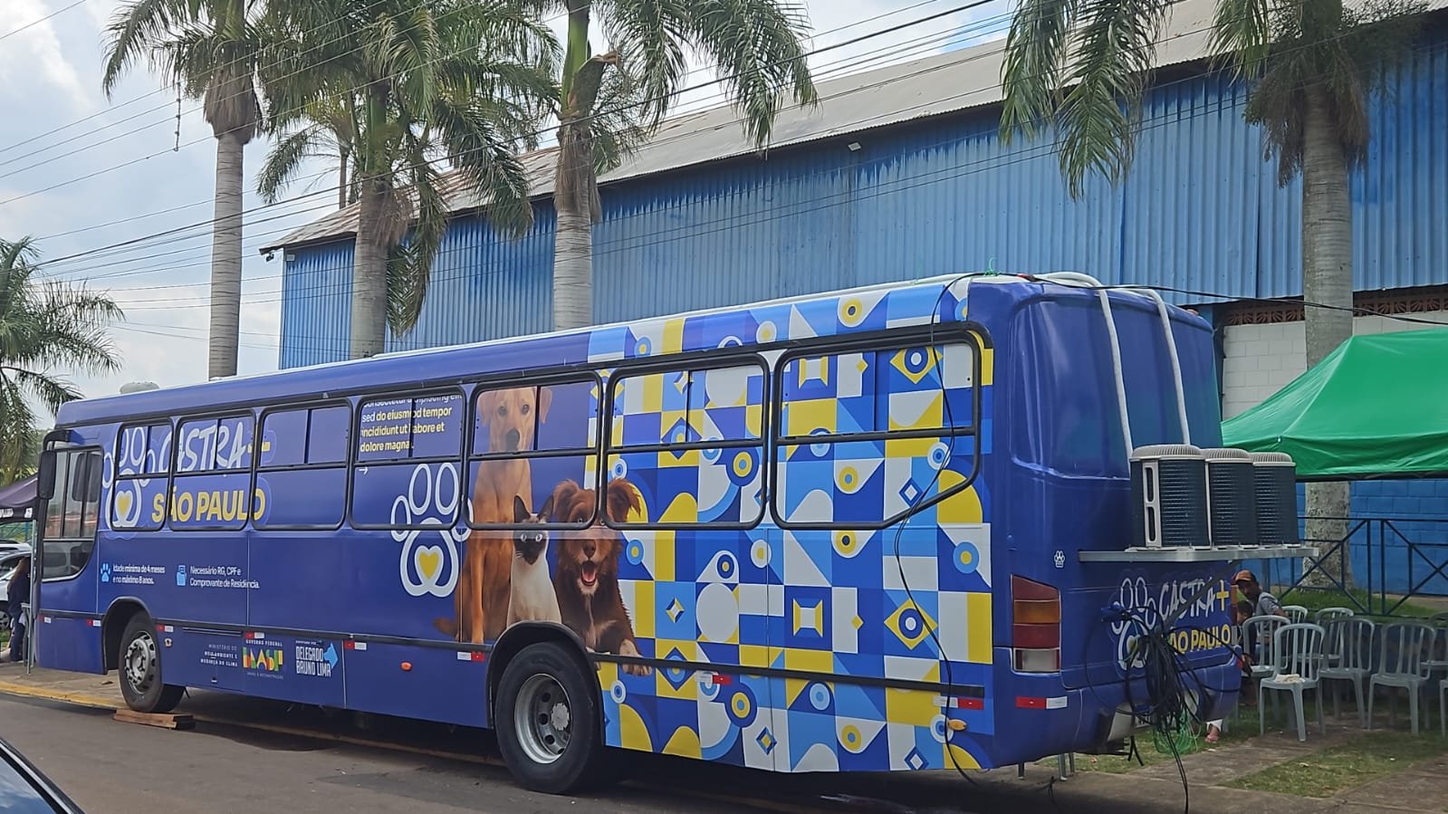 Mutirão vai oferecer castrações gratuitas neste domingo em Americana