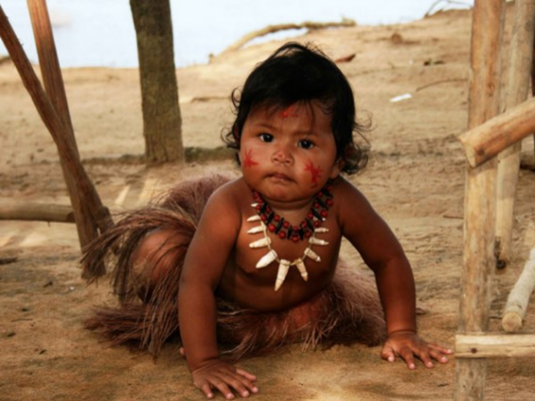 Vulnerabilidade reduz altura média de crianças indígenas e nordestinas