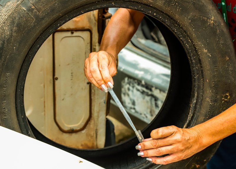 Santa Bárbara realiza mais de 5,7 mil ações de Bloqueio de Criadouros do mosquito transmissor da dengue em 2026