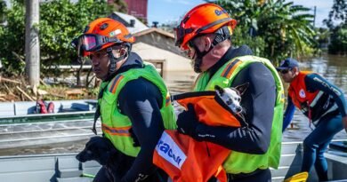 Política de proteção a animais resgatados em desastres agora é lei