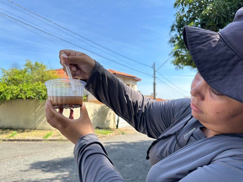 Mutirão em Americana contra a dengue remove mais de 3 toneladas de potenciais criadouros