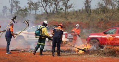 Operação SP Sem Fogo 2026: Defesa Civil começa treinamentos para temporada de incêndios