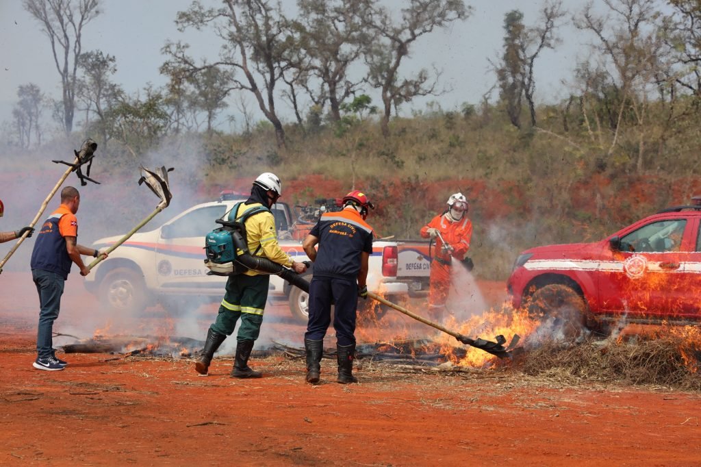 Operação SP Sem Fogo 2026: Defesa Civil começa treinamentos para temporada de incêndios