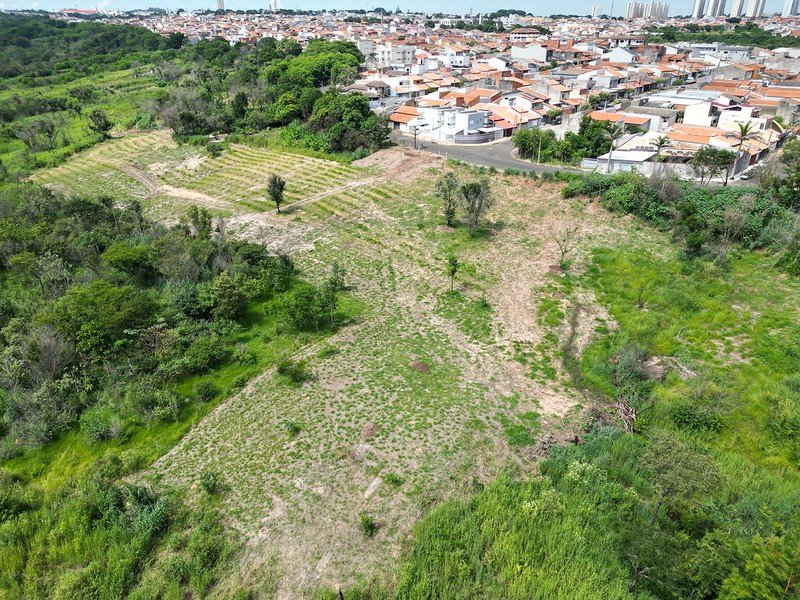 Refloresta Americana chega a 1.100 mudas plantadas às margens do Córrego Bertini