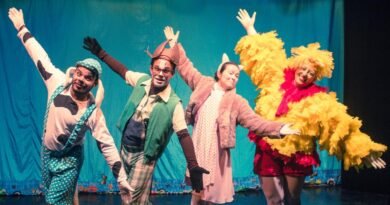 “Os Saltimbancos” chega ao Teatro Municipal de Americana com dança e música ao vivo