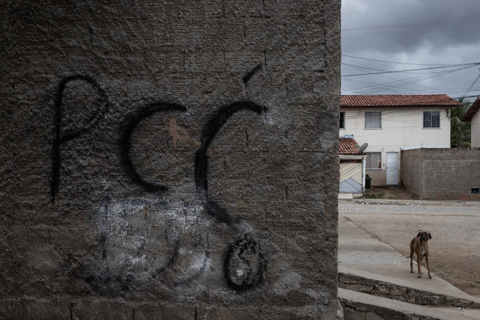 EUA passam a designar CV e PCC como organizações terroristas