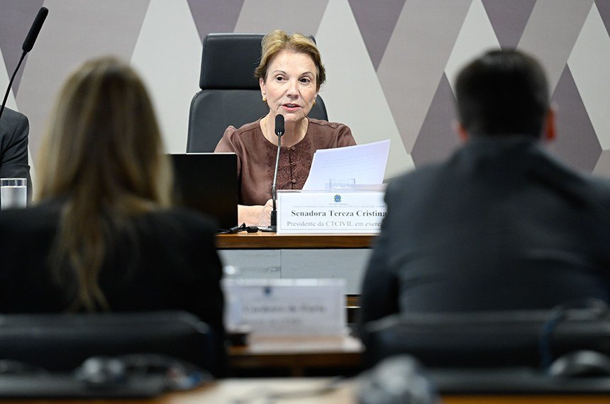 Senado: Debatedores afirmam que novo Código Civil pode incentivar invasão de imóveis