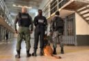 Brasil contra o Crime Organizado apreende celulares em presídios de 15 estados