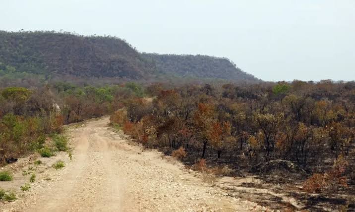 Mapbiomas: menor vegetação nativa expõe mais o país ao El Niño