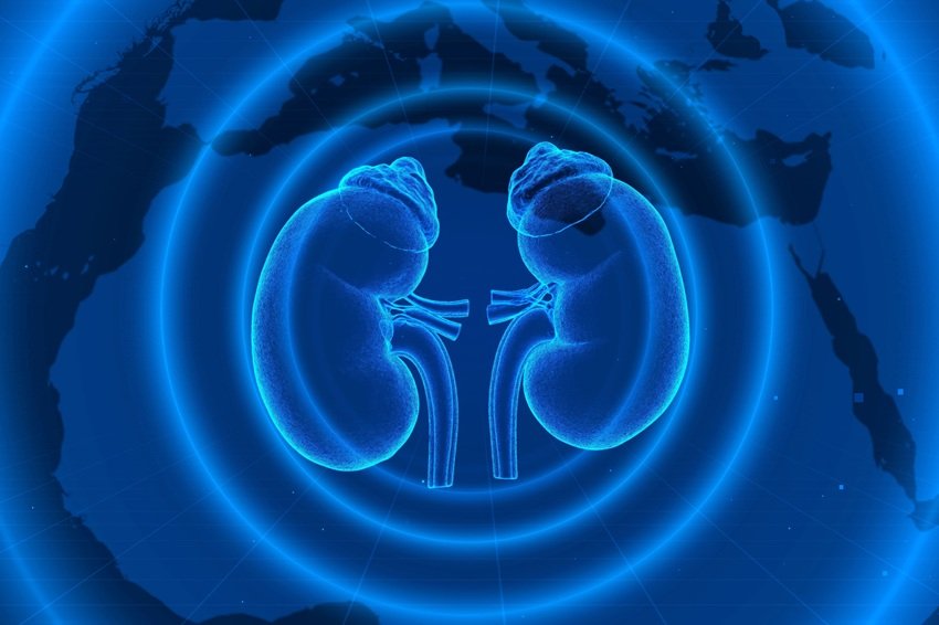 Estudo alerta para subdiagnóstico da doença renal crônica no Brasil