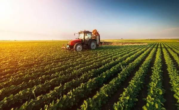 Agricultura empresarial contrata R$ 28,2 bilhões em crédito rural no primeiro mês da safra 2026/2027
