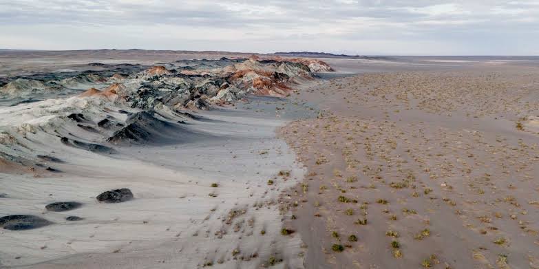 Fungos podem restaurar terras degradadas e combater crise climática