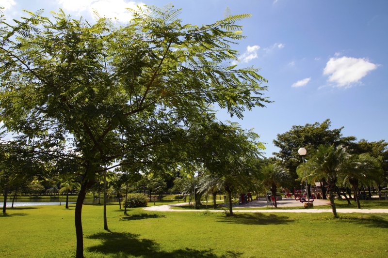 QualiVida celebra Dia do Profissional de Educação Física em SBO