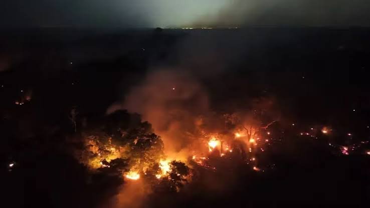 Focos de incêndio no Amazonas diminuem após ação de força-tarefa