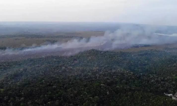 Governo intensifica reforços para combater incêndios no Pará